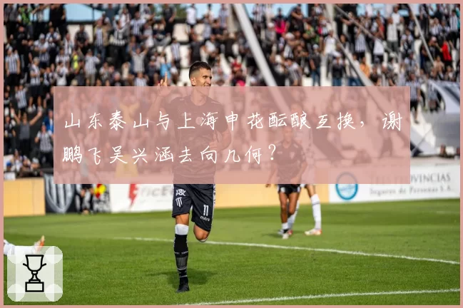 山东泰山与上海申花酝酿互换,谢鹏飞吴兴涵去向几何?
