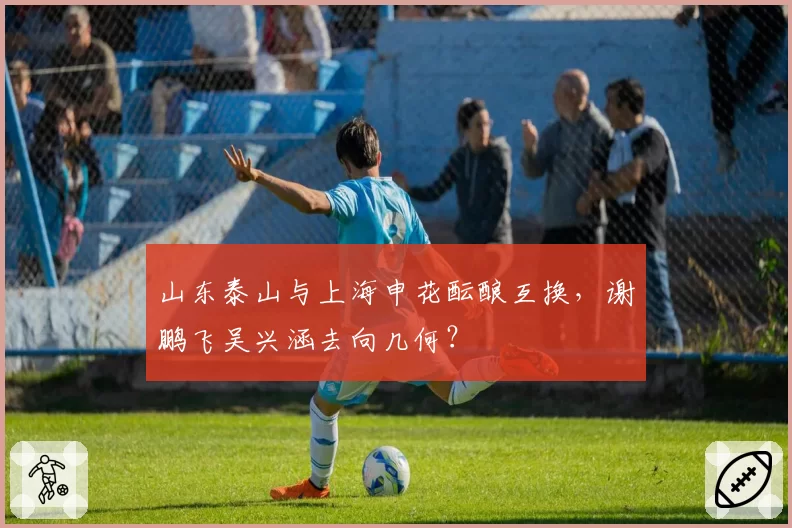 山东泰山与上海申花酝酿互换，谢鹏飞吴兴涵去向几何？