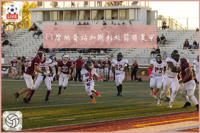 F1摩纳哥站加斯利处罚将复审