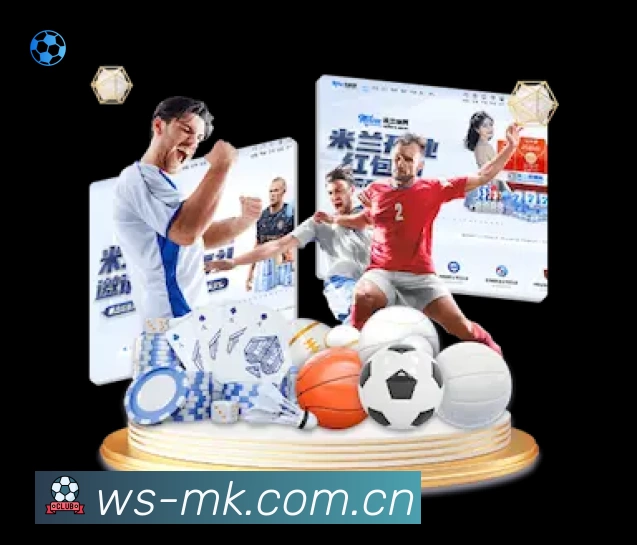 MK体育App 功能展示